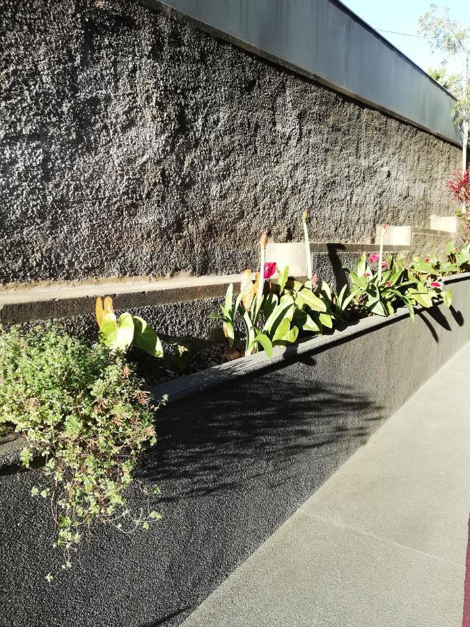 Hotel Fx Carvalhal Funchal  Exterior foto